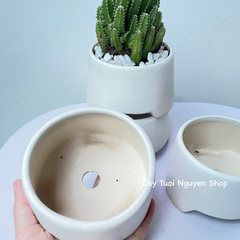 CHẬU TRÁNG MEN GẠT TÀN 8.5*6CM, (1 chậu),chậu trồng cây, trang trí nội thất, Cây Tươi Nguyên CTN1499