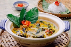 [CHỈ GIAO HCM] CÂY LÁ CÁCH CHẬU LỚN, (cao 35cm), trồng sẵn phát triển ổn định, mau thu hoạch Cây Tươi Nguyên
