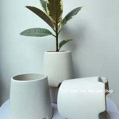 CHẬU TRÁNG MEN 3 CHÂN CAO 10*11CM, (1 chậu), chậu trồng cây, trang trí nội thất, Cây Tươi Nguyên CTN1498