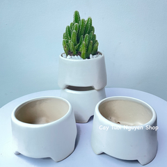 CHẬU TRÁNG MEN GẠT TÀN 8.5*6CM, (1 chậu),chậu trồng cây, trang trí nội thất, Cây Tươi Nguyên CTN1499