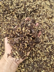 PHÂN RƠM TRỘN SẴN TÚI 1KG, giá thể phù hợp đa số kiểng lá, hoa, cây cảnh, đựng túi zip sạch sẽ tiện lợi, Cây Tươi Nguyên