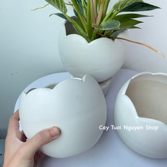 CHẬU TRÁNG MEN VỎ TRỨNG 13*12CM, (1 chậu),chậu trồng cây, trang trí nội thất, Cây Tươi Nguyên CTN1494