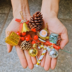 [GIAO HOẢ TỐC] CÂY SƠN TÙNG, (cao 30-40cm), cây Noel mini, cây Noel thật để bàn, cây Giáng sinh, Cây Tươi Nguyên CTN0720