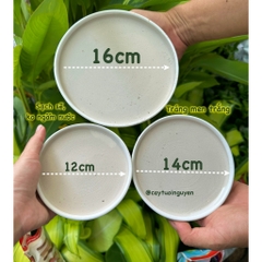 ĐĨA LÓT CHẬU TRÁNG MEN/ SỨ, đĩa lót chậu cây hình tròn nhiều kích thước
