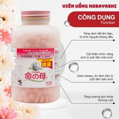 Viên uống nội tiết tố kobayashi 840 viên-nhật