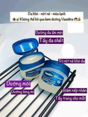 Kem Nẻ Vaseline 49g-mỹ