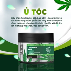  Kem ủ chăm sóc tóc chuyên sâu, phục hồi hư tổn - Cannabis Hair  Thương hiệu: DR.SANTE’ ELFA PHARM  Xuất xứ: Balan