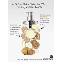 Bộ Dầu Gội Xả Phục Hồi Đa Tầng Nấm Truffle Weilaiya-hồng công