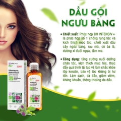 Dầu gội chống rụng tóc & kích thích mọc tóc Elfa Pharm