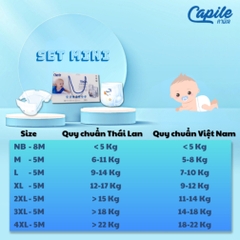 Mini Set Tã dán trẻ em nội địa Thái Lan Nhãn Hiệu Capile  2. Thương hiệu: Capile