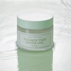 Kem Dưỡng Ẩm Và Kiểm Soát Dầu I'm From Vitamin Tree Water-Gel 75g
