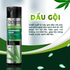 Dầu gội chăm sóc tóc chuyên sâu, phục hồi hư tổn - Cannabis Hair  Thương hiệu: DR.SANTE’ ELFA PHARM  Xuất xứ: Balan