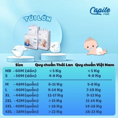 Tã dán trẻ em nội địa Thái Lan Nhãn Hiệu Capile  - Thương hiệu: Capile