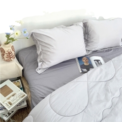 Ga trải giường Tencel 60s KT 180 x 200