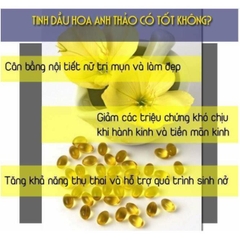 TINH DẦU HOA ANH THẢO HÀN QUỐC- MÀU VÀNG-hàn