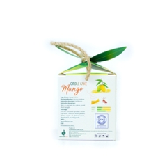 Bánh Xoài 75g