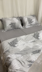 Combo vỏ mền vỏ gối Tencel 60s