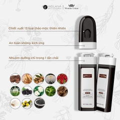 Dầu gội phủ bạc Weilaiya-hồng công