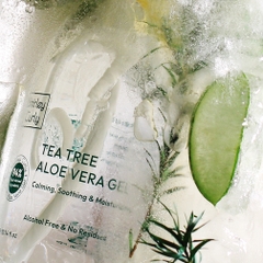Gel dưỡng ẩm da Shirley Curly Tea Tree Aloe vera gel 300ml