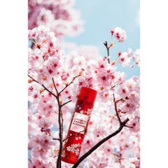 Nước xịt thơm Body Works Japanese Cherry Blossom 236 ml-nhật
