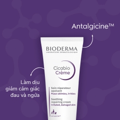 Viên xả khô quần áo Nhật Bản P&G Lenor Eau De Luxe Relax