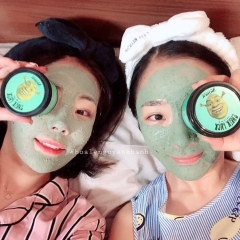 Mặt nạ tươi đất sét chiết xuất bạc hà The Real Shrek Pack 110gr-hàn