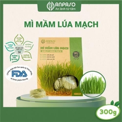 Mì Mầm Lúa Mạch Organic Anpaso 300g