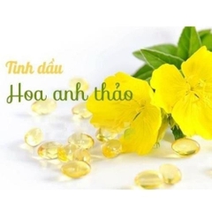 TINH DẦU HOA ANH THẢO HÀN QUỐC- MÀU VÀNG-hàn