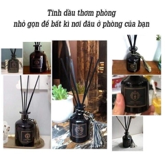 NƯỚC HOA TINH DẦU ĐỂ PHÒNG KHÁCH - SU