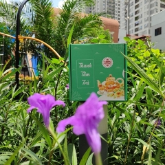TRÀ DƯỠNG NHAN .TRÀ THẢO MỘC HỘP 30 GÓI DƯỠNG TÂM ,NHUẬN SẮC ,THANH LỌC CƠ THỂ-PHƯƠNG THỦY MART
