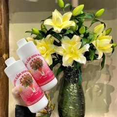 NƯỚC CẮM HOA TƯƠI LỌ 400ML - GDN