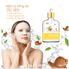 COMBO 5 MẶT NẠ DƯỠNG DA M.PROS