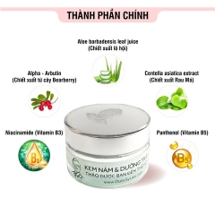 KEM NÁM & DƯỠNG TRẮNG DA BAN ĐÊM THẢO DƯỢC THẾ HỆ MỚI 12G-DƯỢC SĨ LIÊN
