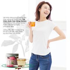 TRÀ HOA HỒNG 50G - HERBIO
