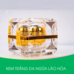 KEM TRỊ NÁM CAO CẤP 50G - ELBON