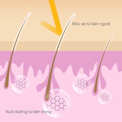 SERUM DƯỠNG DÀI MI & MÀY 10ML - COBOTÉ