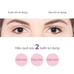 SERUM DƯỠNG DÀI MI & MÀY 10ML - COBOTÉ