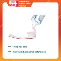 KEM ĐÁNH RĂNG NGỪA VIÊM NƯỚU, NGĂN MẢNG BÁM CARE FORTE TUÝP 75ML - EDELWHITE