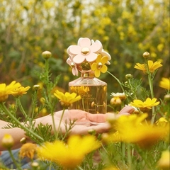 NƯỚC HOA MARC JACOBS DAISY EAU SO FRESH EDT 125ML - NOEM