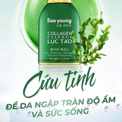 SERUM LỤC TẢO COLLAGEN ESSENCE - SOO YOUNG
