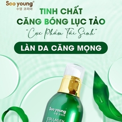 SERUM LỤC TẢO COLLAGEN ESSENCE - SOO YOUNG