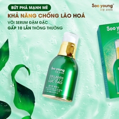 SERUM LỤC TẢO COLLAGEN ESSENCE - SOO YOUNG