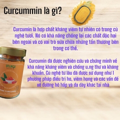 TINH BỘT NGHỆ CURCUMIN NGUYÊN CHẤT 100GR - ORGAFO NATURAL