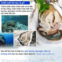 VIÊN UỐNG BỔ SUNG TINH CHẤT HÀU HỖ TRỢ TẰNG SINH LÝ NAM SEEDCOMS