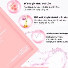 MẶT NẠ NHAU THAI CỪU NHẬT BẢN,LÀM ĐẸP DA ,NGỪA LÃO HÓA - RWINE BEAUTY