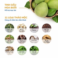 BỘ BA (GỘI + XẢ + SERUM) GIẢM RỤNG HỖ TRỢ MỌC TÓC GỒM DẦU GỘI HOA BƯỞI (250ML) & DẦU XẢ HOA BƯỞI NEO NATURE (250ML) & SERUM HOA BƯỞI 50ML- NEONATURE