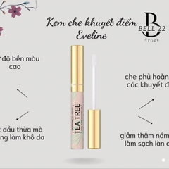 KEM CHE KHUYẾT ĐIỂM EVELINE 2IN1 (DẠNG ĐẦU CỌ) B978 - BELL22 STORE