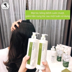 COMBO CẶP GỘI XẢ DƯỠNG ẨM PHỤC HỒI BIOTIN PLUS VISIONMI 800ML