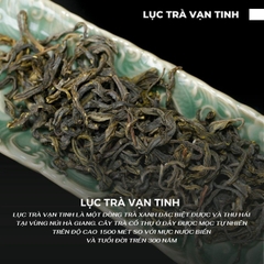 LỤC TRÀ VẠN TINH 125 GRAM, LỤC TRÀ CỔ THỤ 300 NĂM TDG