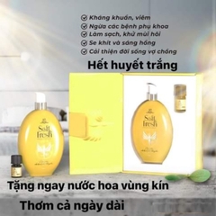 DUNG DỊCH VỆ SINH PHỤ NỮ SOFT FRESH - ĐÔNG ANH COLLAGEN X3 KT1-GDN